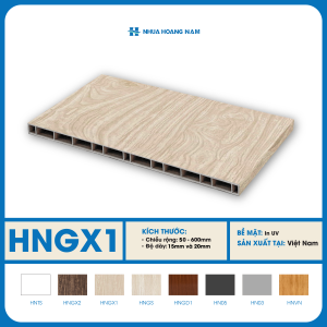 Tấm nhựa Hoàng Nam HNGX1