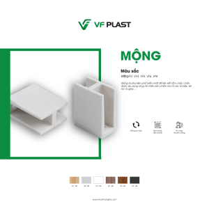 Mộng nhựa VF